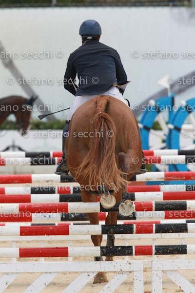 FERRARIO_PAZZA IDEA_GIO CAV 2011_SS3_8871.jpg